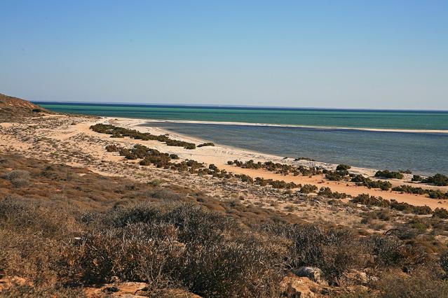 Shark Bay